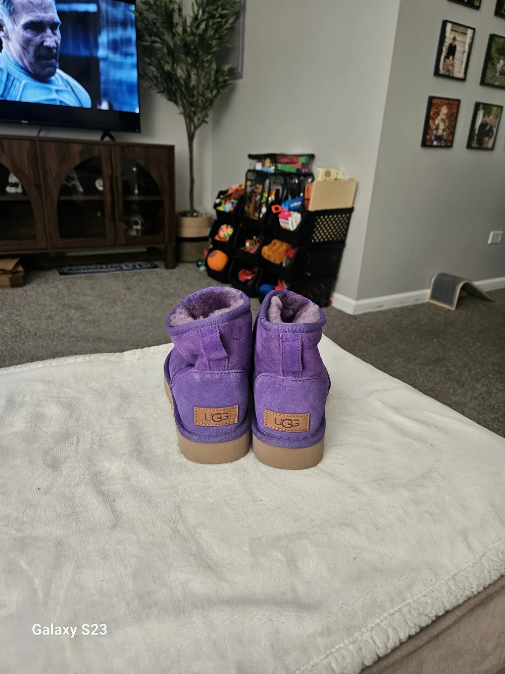 UGG Classic Mini II Purple Suede Sheepskin Boots Women's Size 6 EU 37